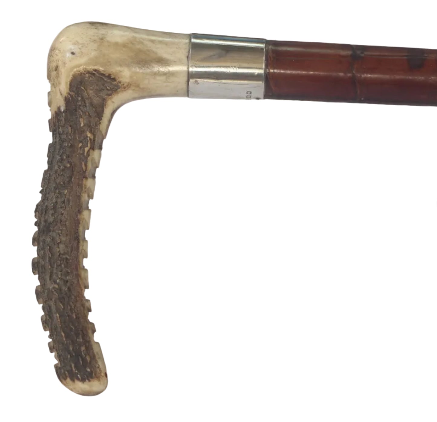 1932 Vintage Crocodile Hunting Whip