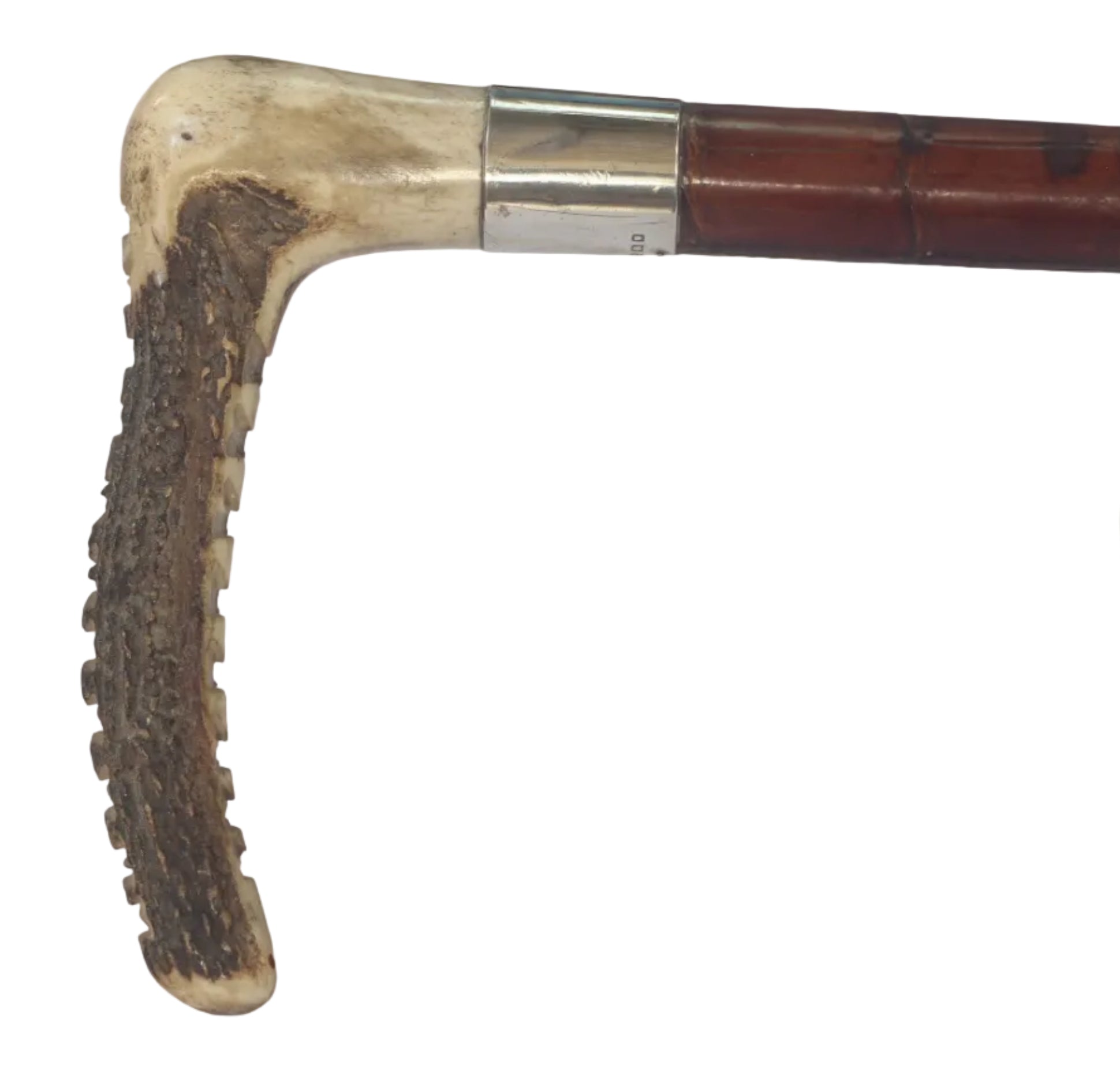 1932 Vintage Crocodile Hunting Whip