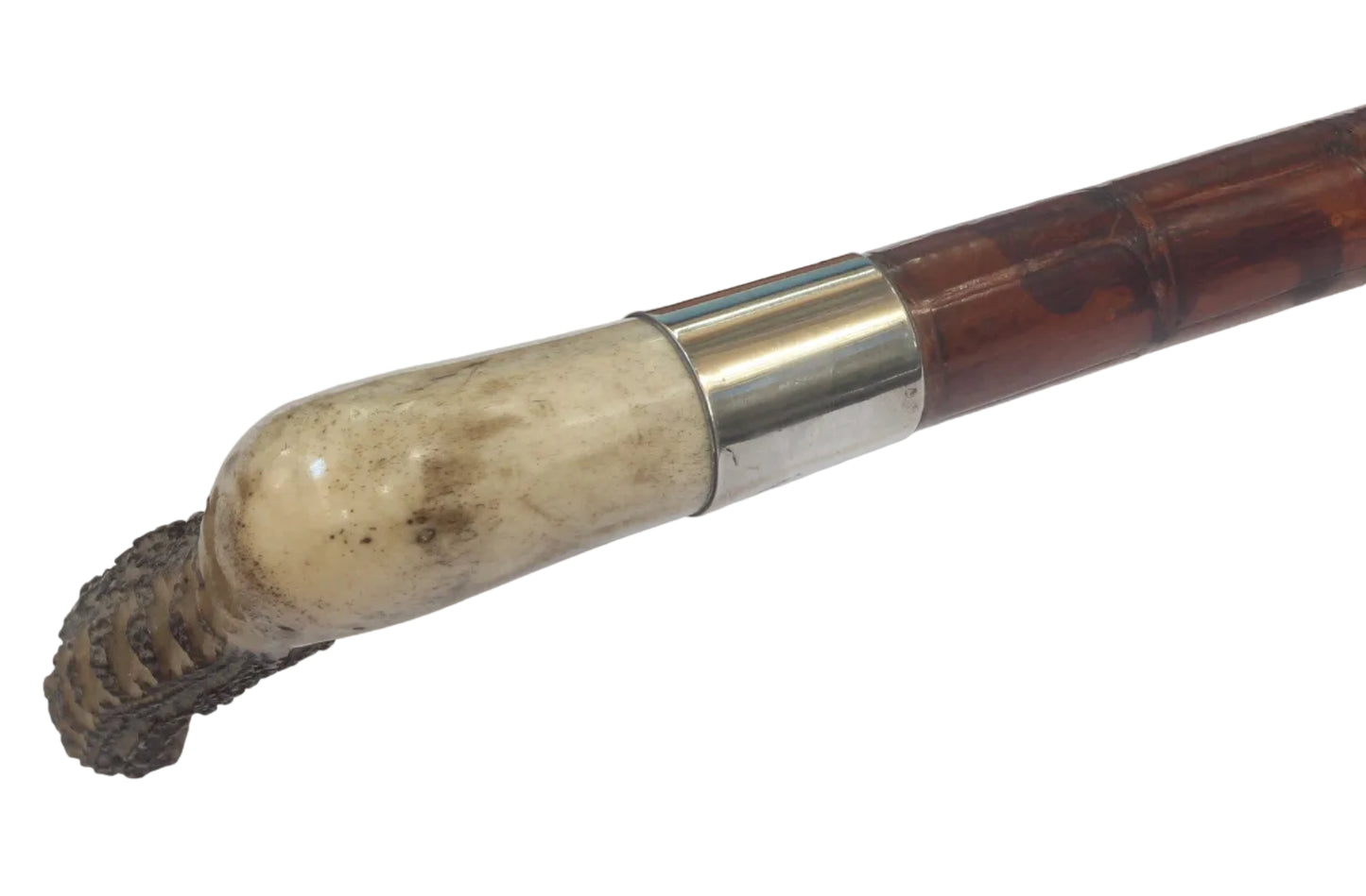 1932 Vintage Crocodile Hunting Whip