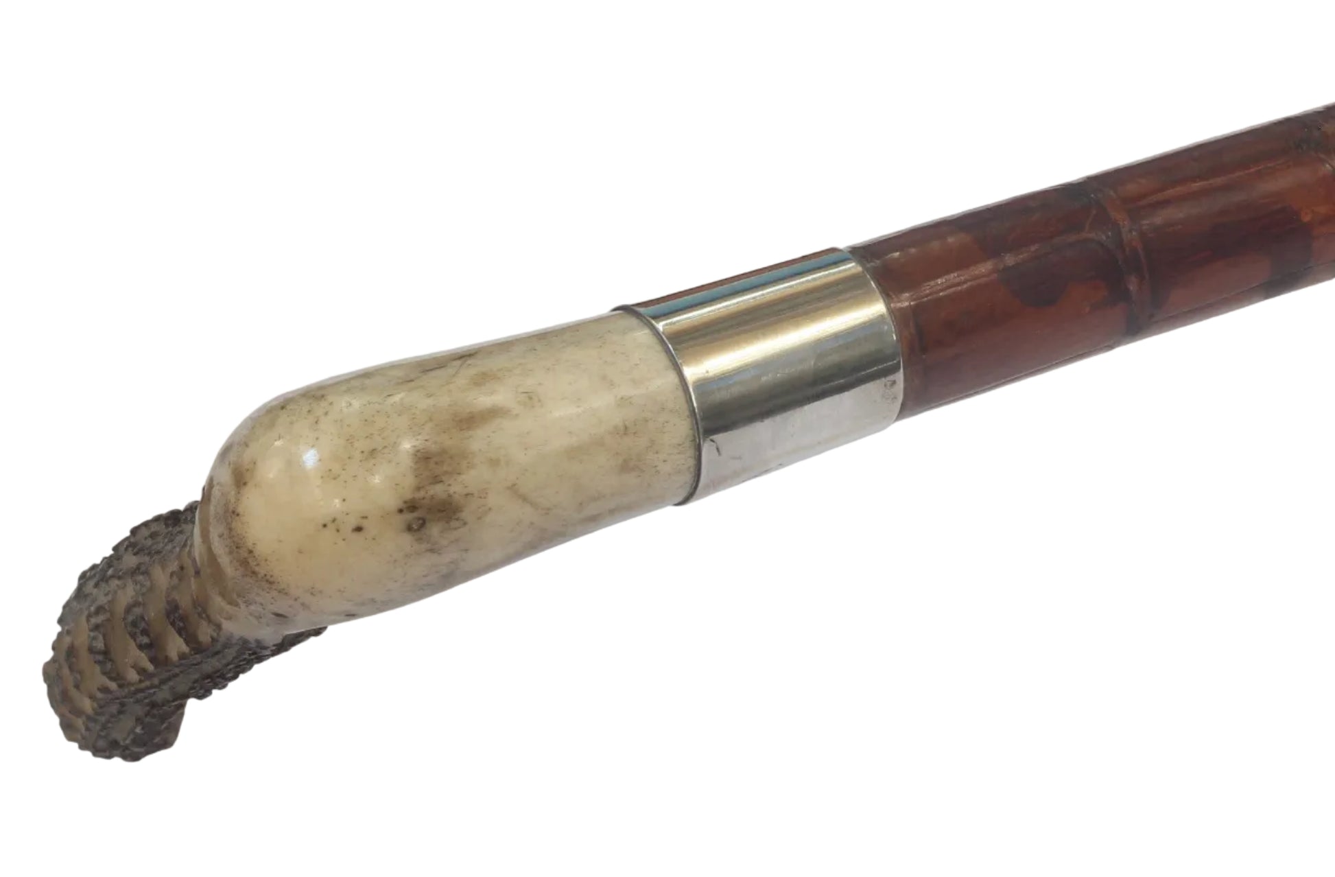 1932 Vintage Crocodile Hunting Whip