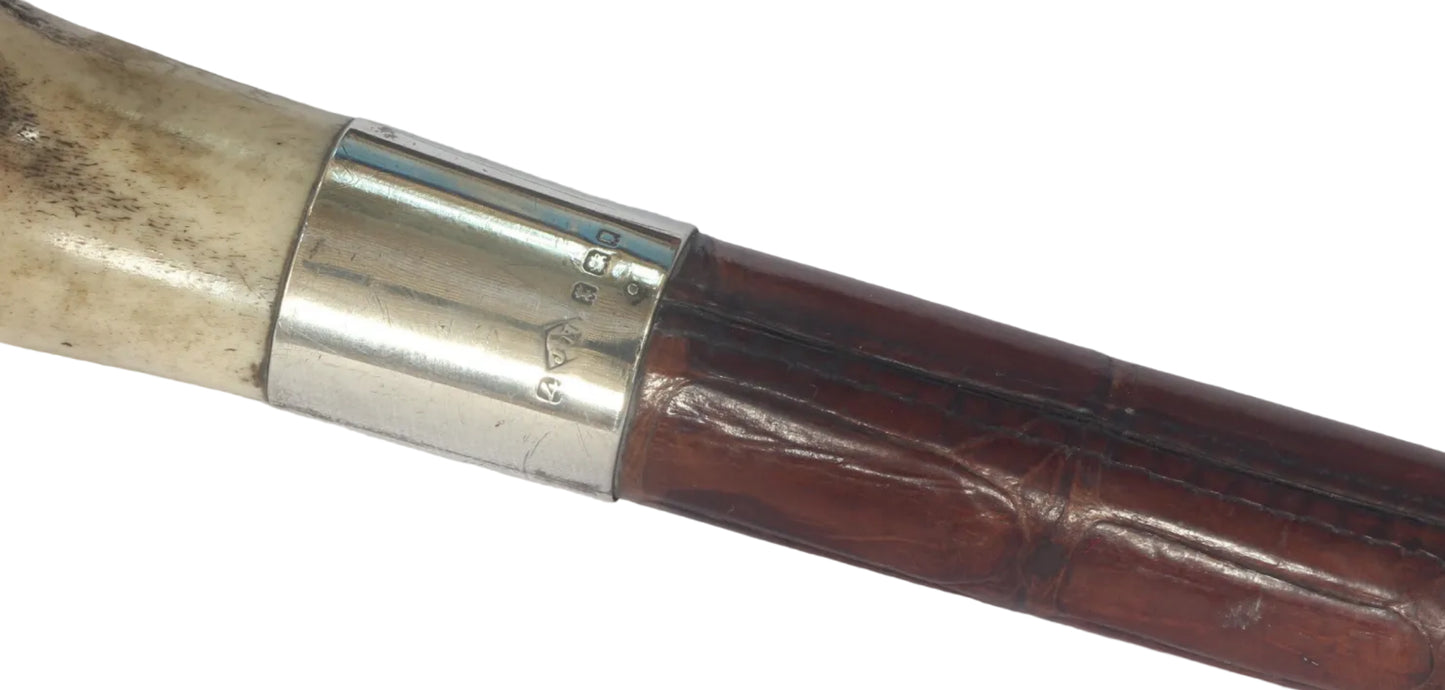 1932 Vintage Crocodile Hunting Whip