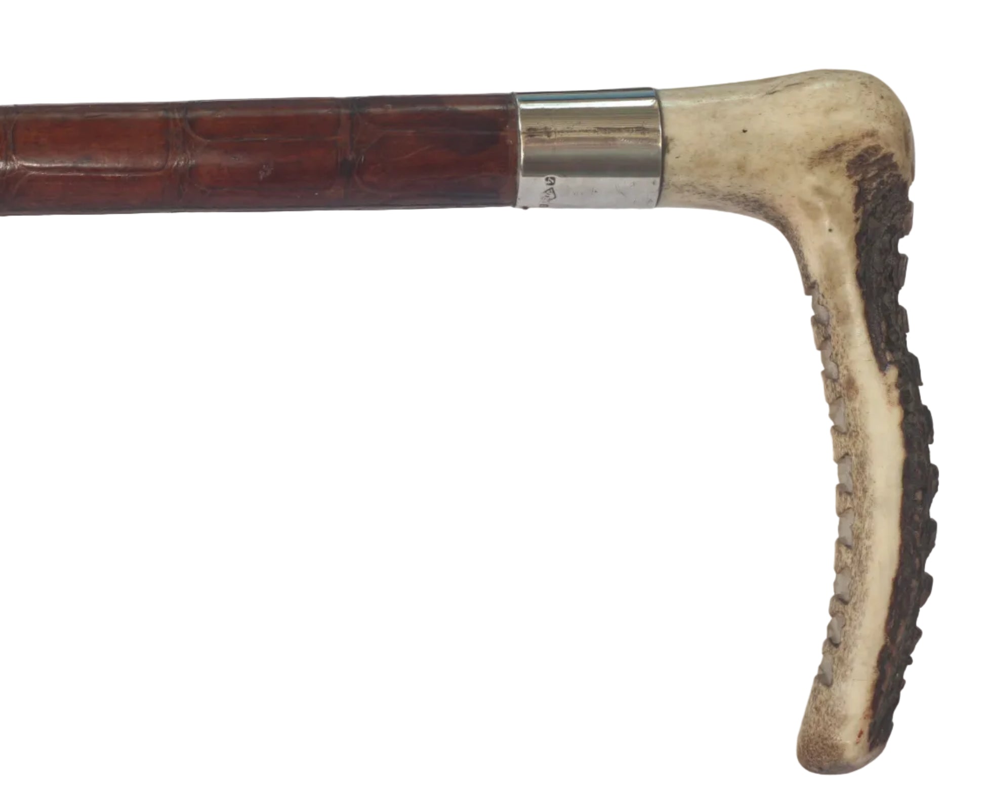 1932 Vintage Crocodile Hunting Whip