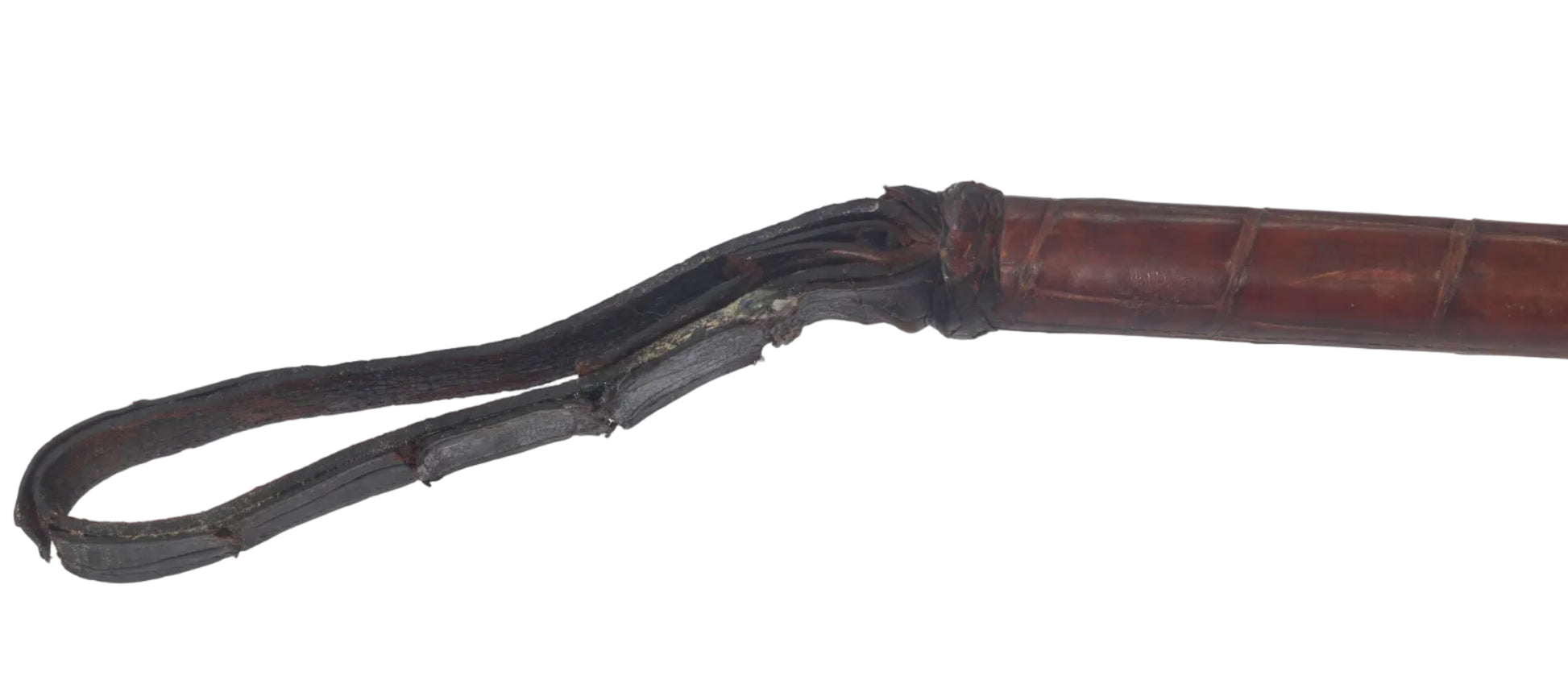 1932 Vintage Crocodile Hunting Whip