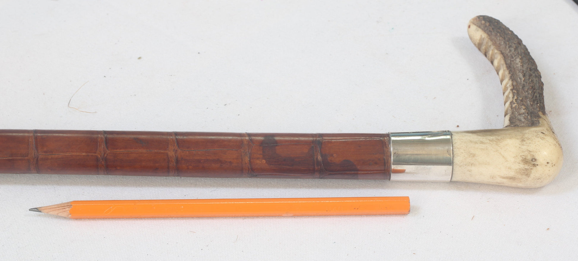 1932 Vintage Crocodile Hunting Whip