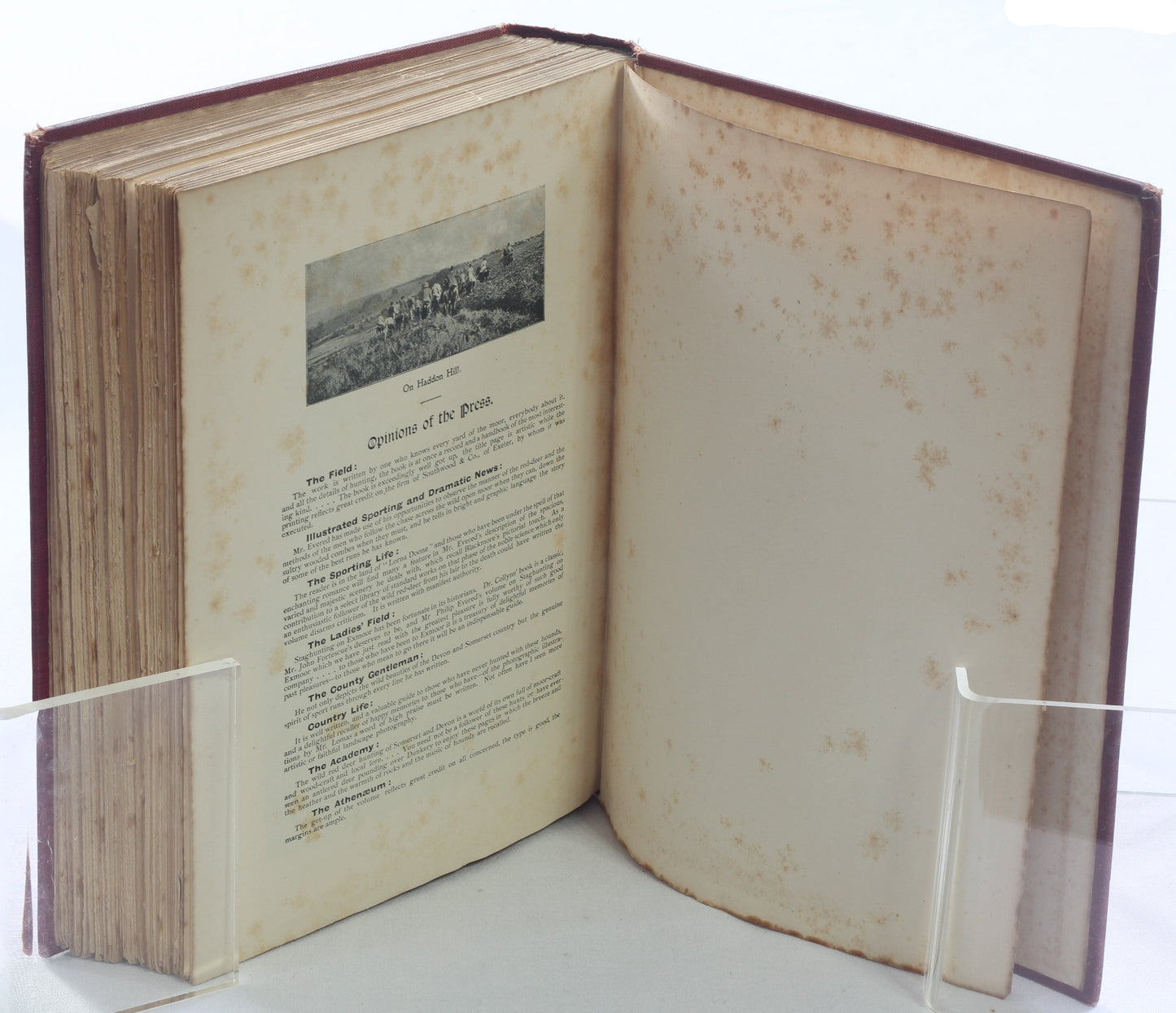 Memoir of the Rev. John Russell and his Out-of-Door Life by E W L Davies, Illus N H J Baird, 1902 Limited Ed