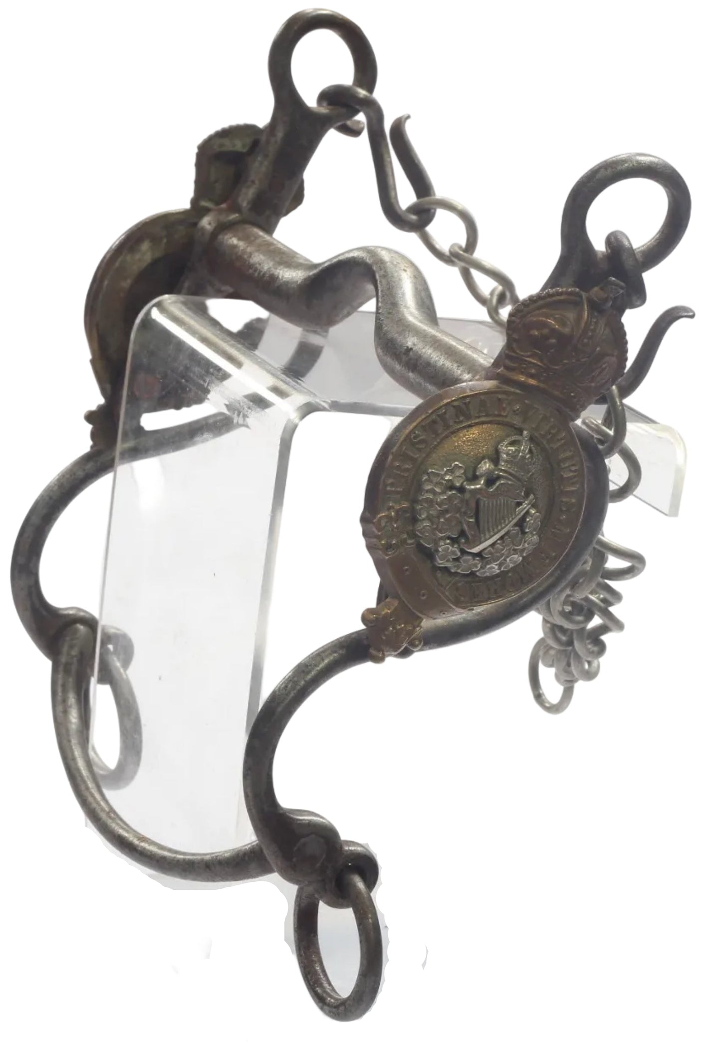 8th King's Royal Irish Hussars Officers Horse Bit by Whippy