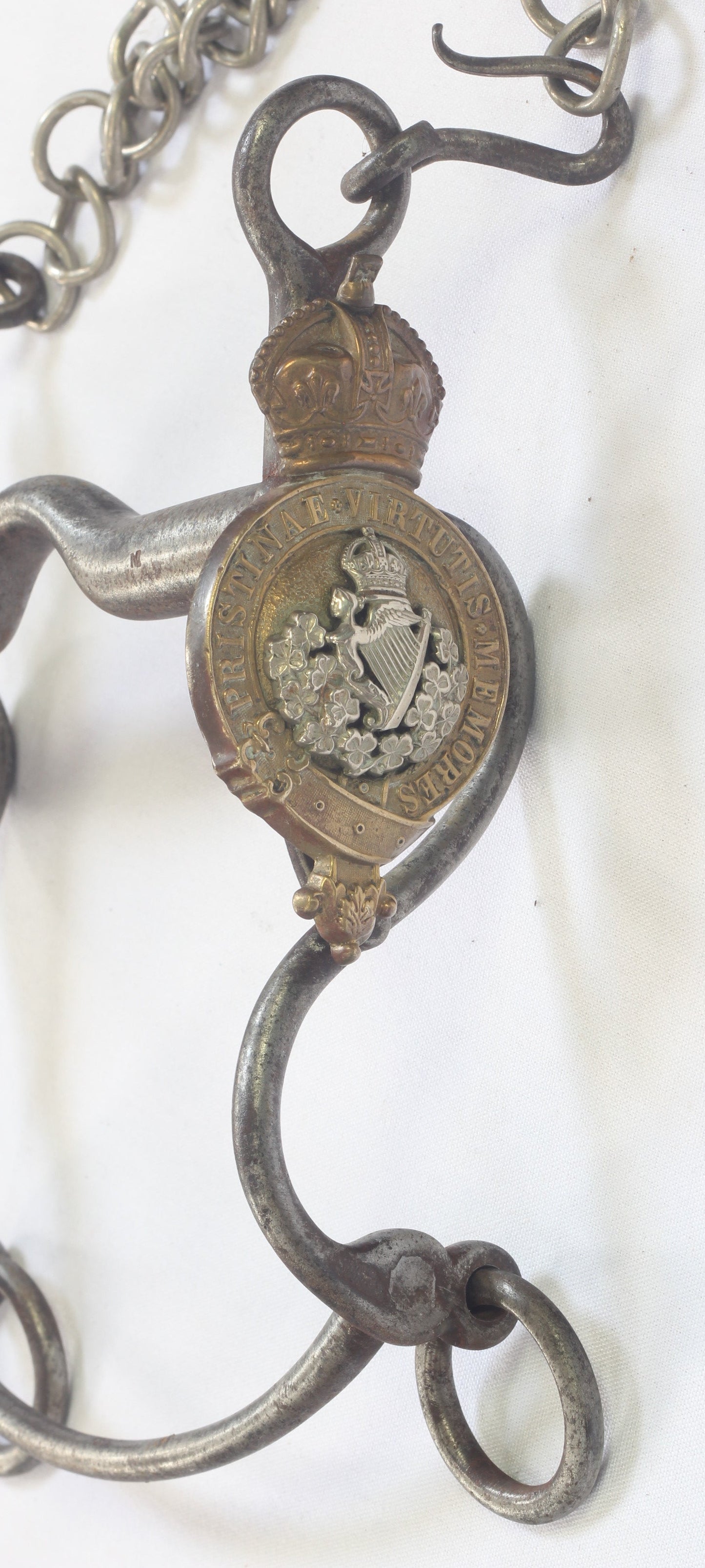 8th King's Royal Irish Hussars Officers Horse Bit by Whippy