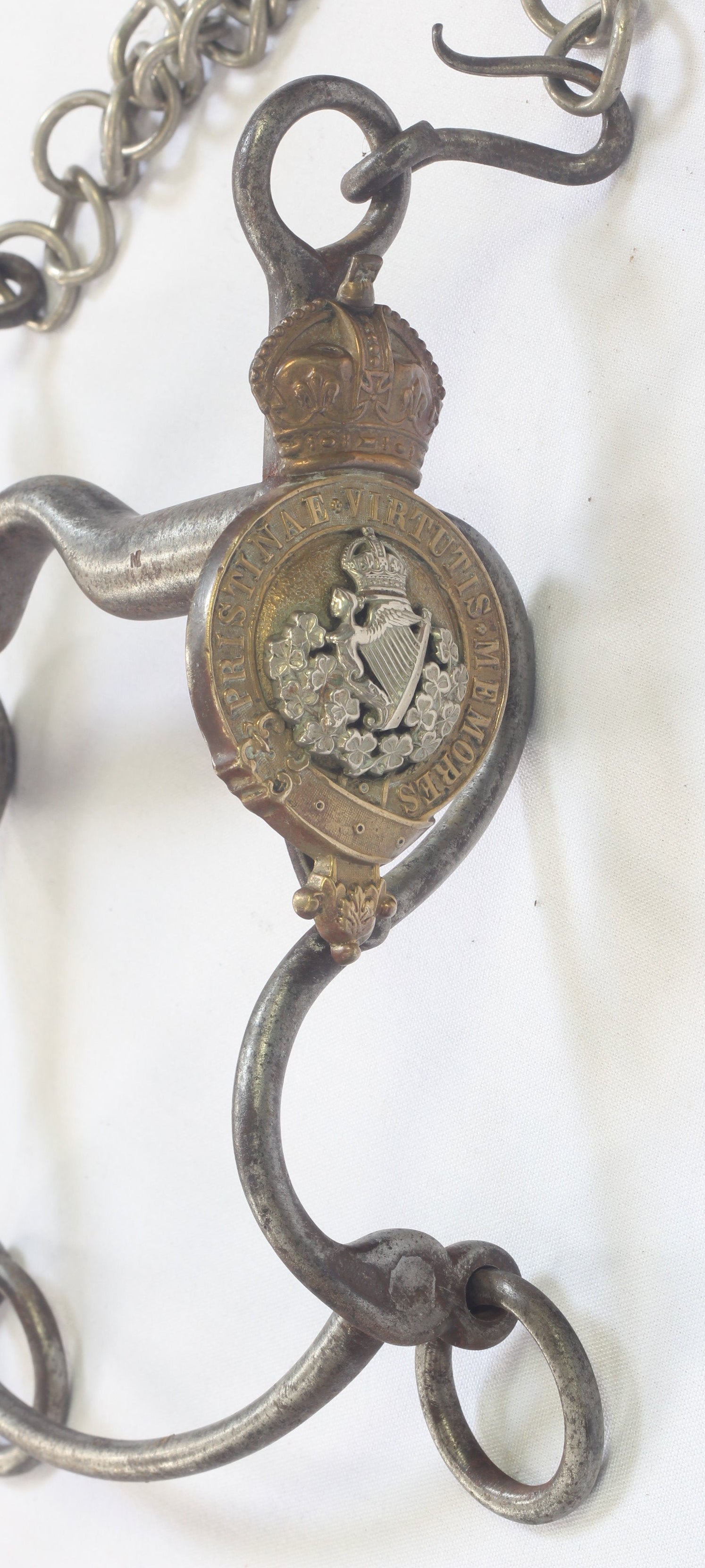 8th King's Royal Irish Hussars Officers Horse Bit by Whippy