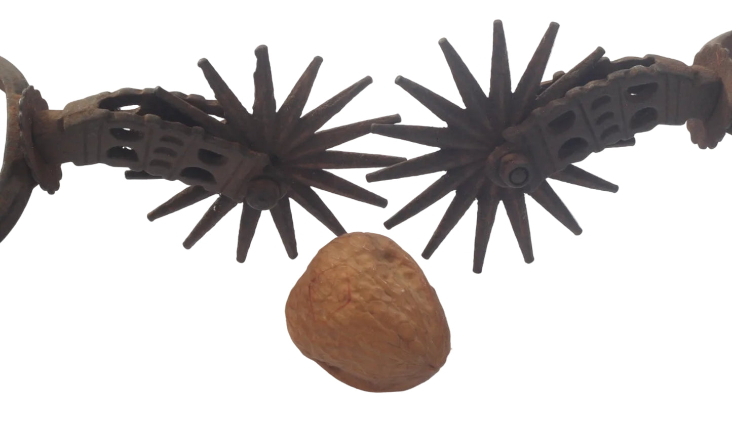Pair of South American Spurs with Coin Decorated Straps
