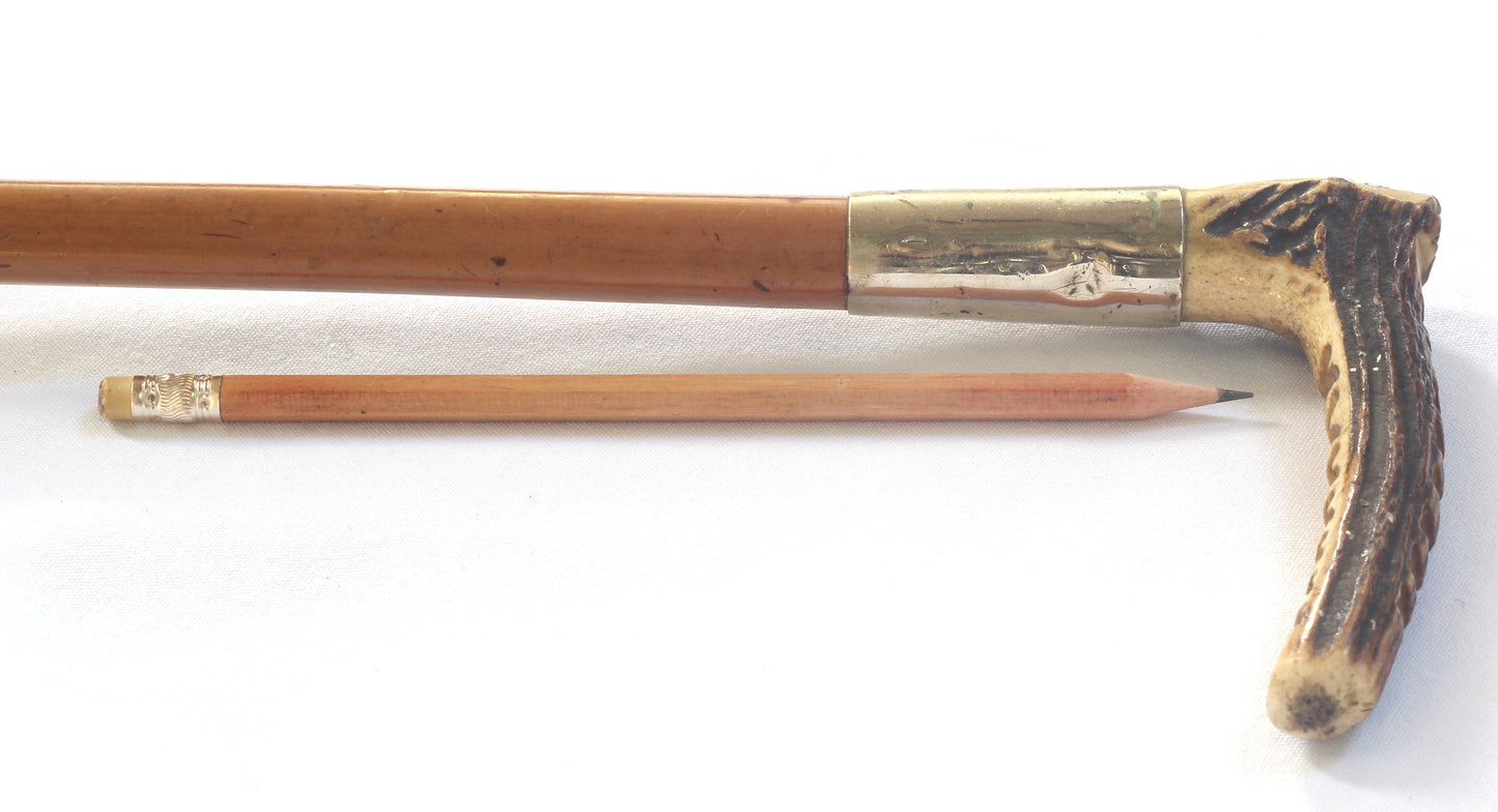 Vintage Malacca Hunting Whip with Thong - w1863