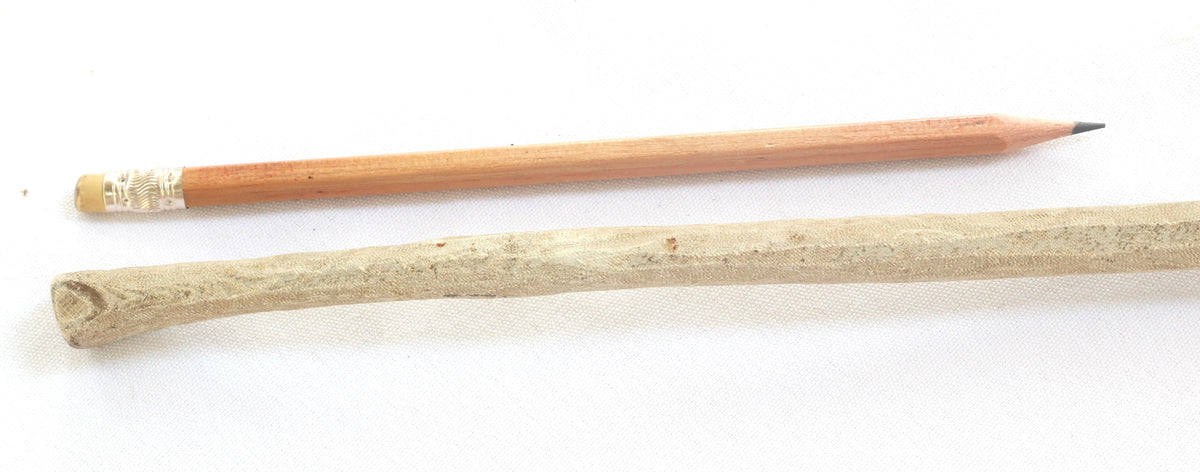 African Tribal Hide Whip or Sjambok or Litupa with Wire Decoration