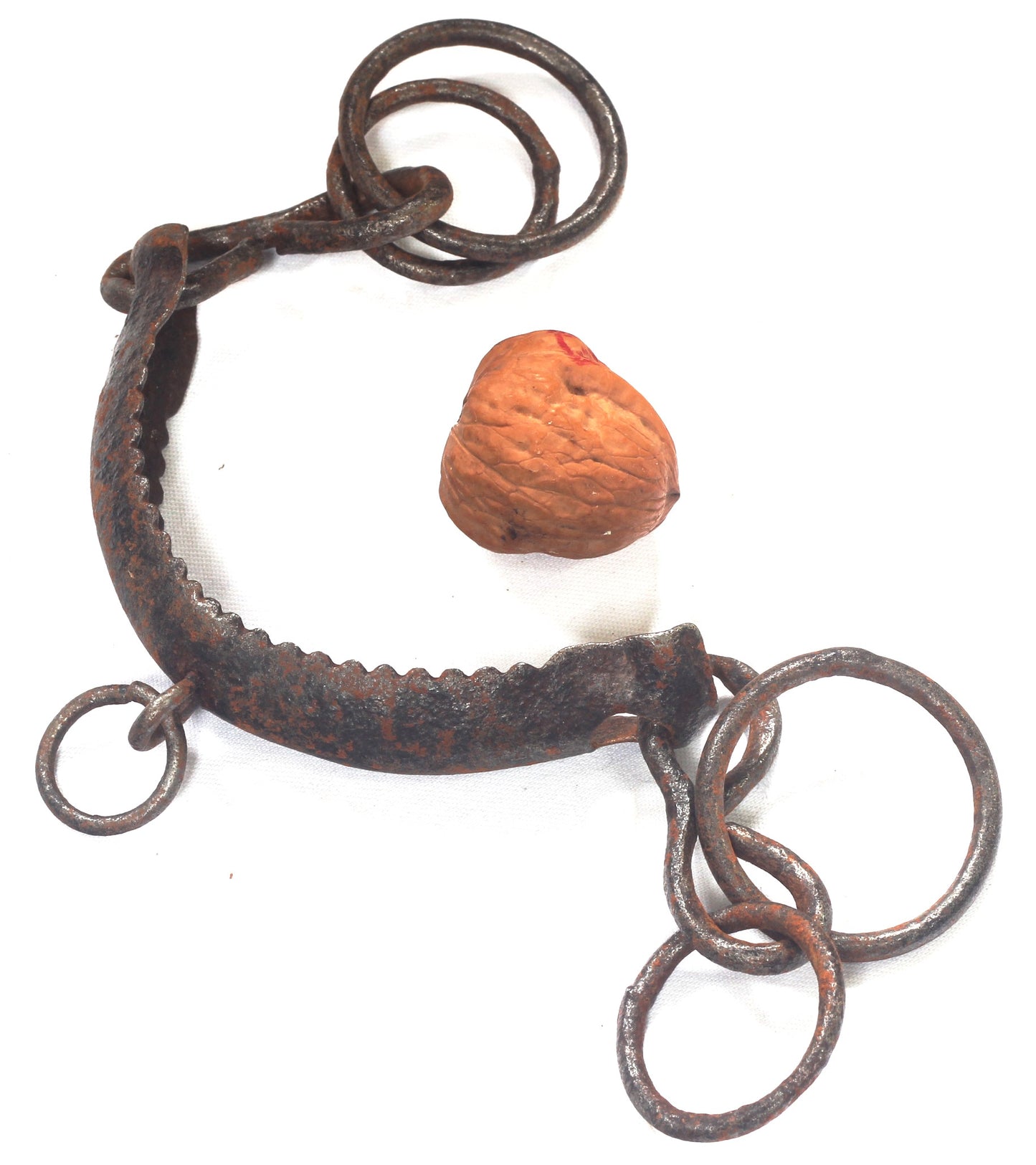 An Antique Serreta Noseband