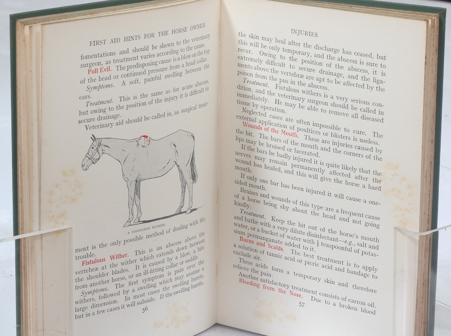 First Aid Hints for the Horse Owner, A Veterinary Note Book by Major W.E.Lyon, 1st Ed 1933