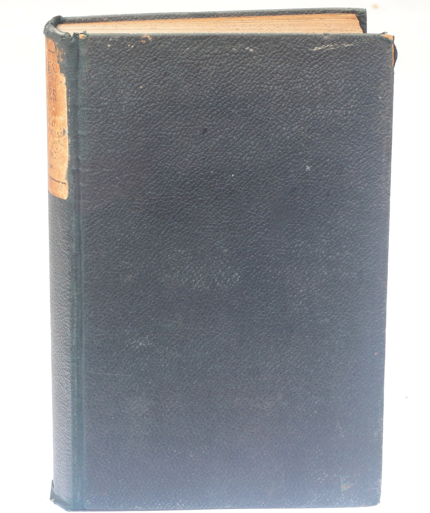 Horses & Stables by Major General Sir F. Fitzwygram Bart , 5th Edition 1901