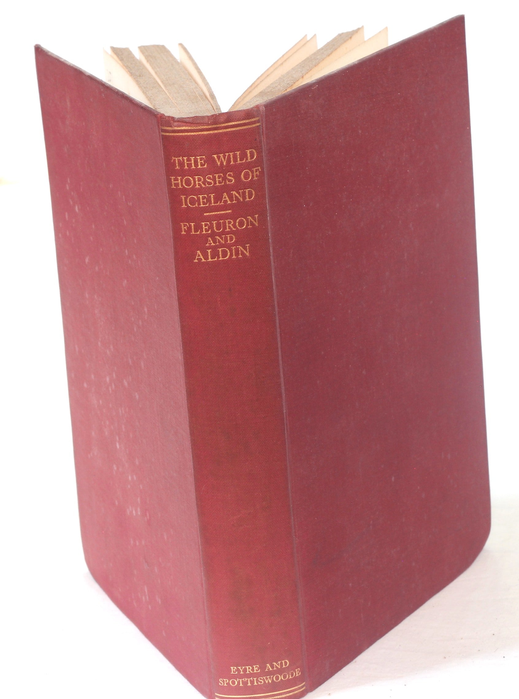 The Wild Horses of Iceland by Fleuron, illus. Cecil Aldin 1933