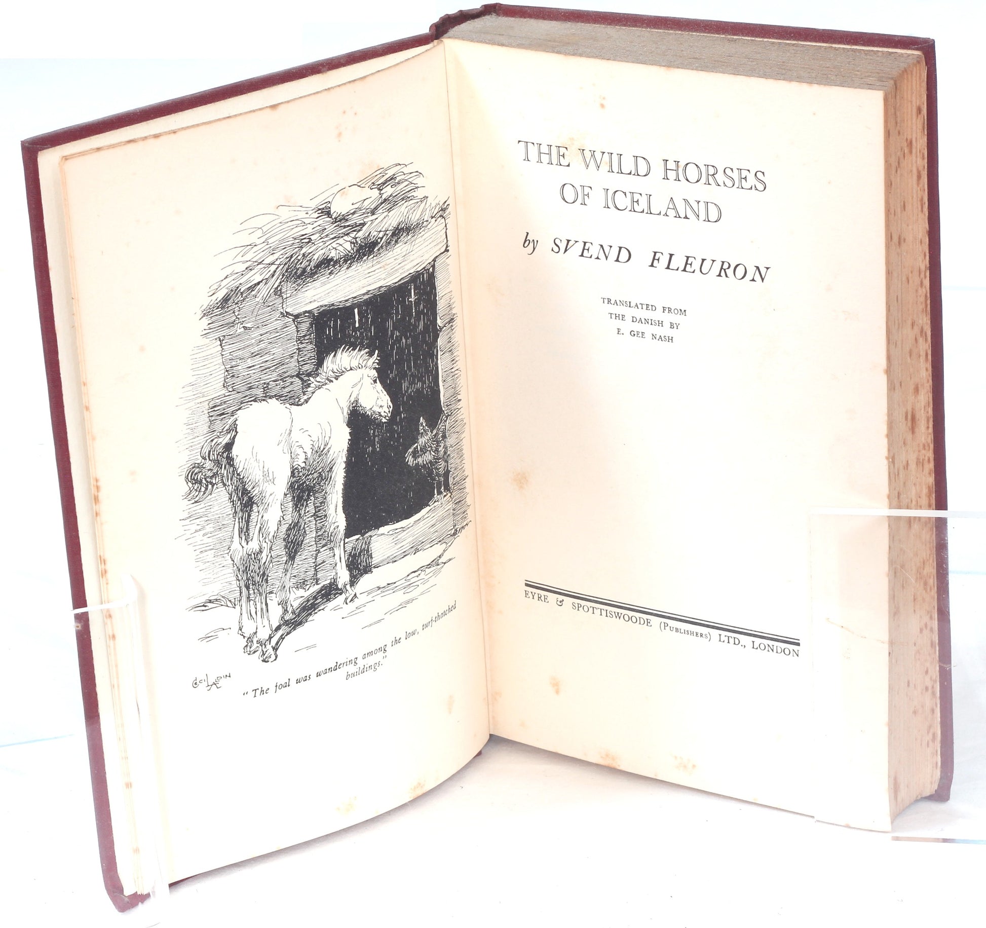 The Wild Horses of Iceland by Fleuron, illus. Cecil Aldin 1933