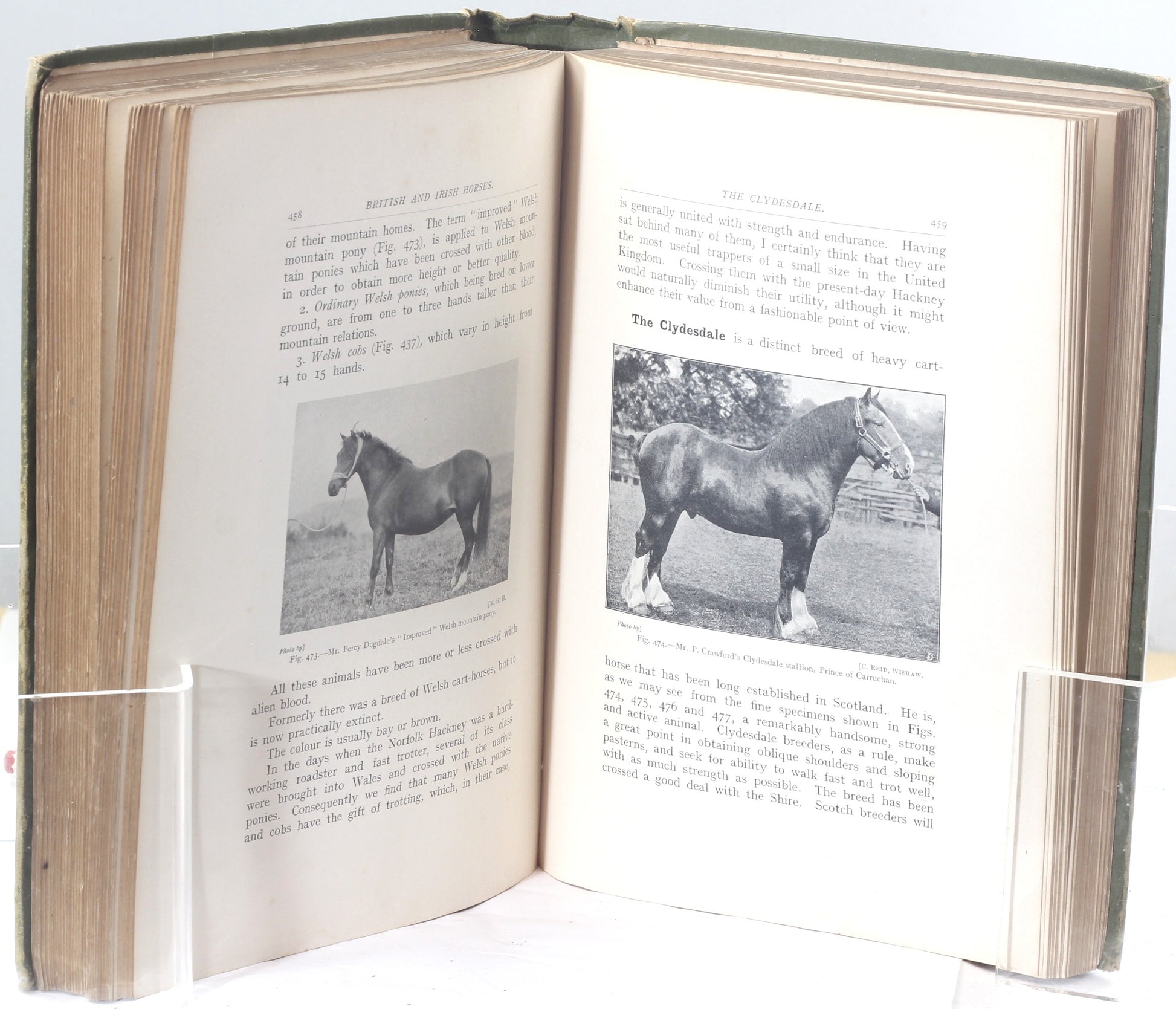 Points of the Horse by Captain M.H.Hayes , 3rd Edition 1904 
